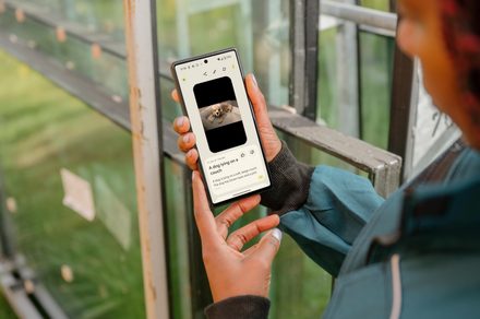 Pixel Screenshots passe au cloud avec une IA plus puissante