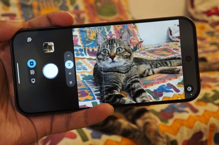 Magic Capture du Pixel 11 Pro : j'ai testé ça sur mon chat